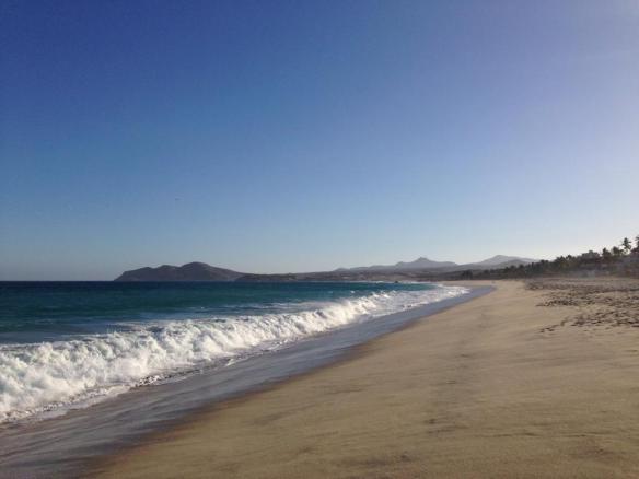 10277409_711175476627_4161670422872587142_n